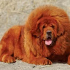 Meet your Posher, Cory